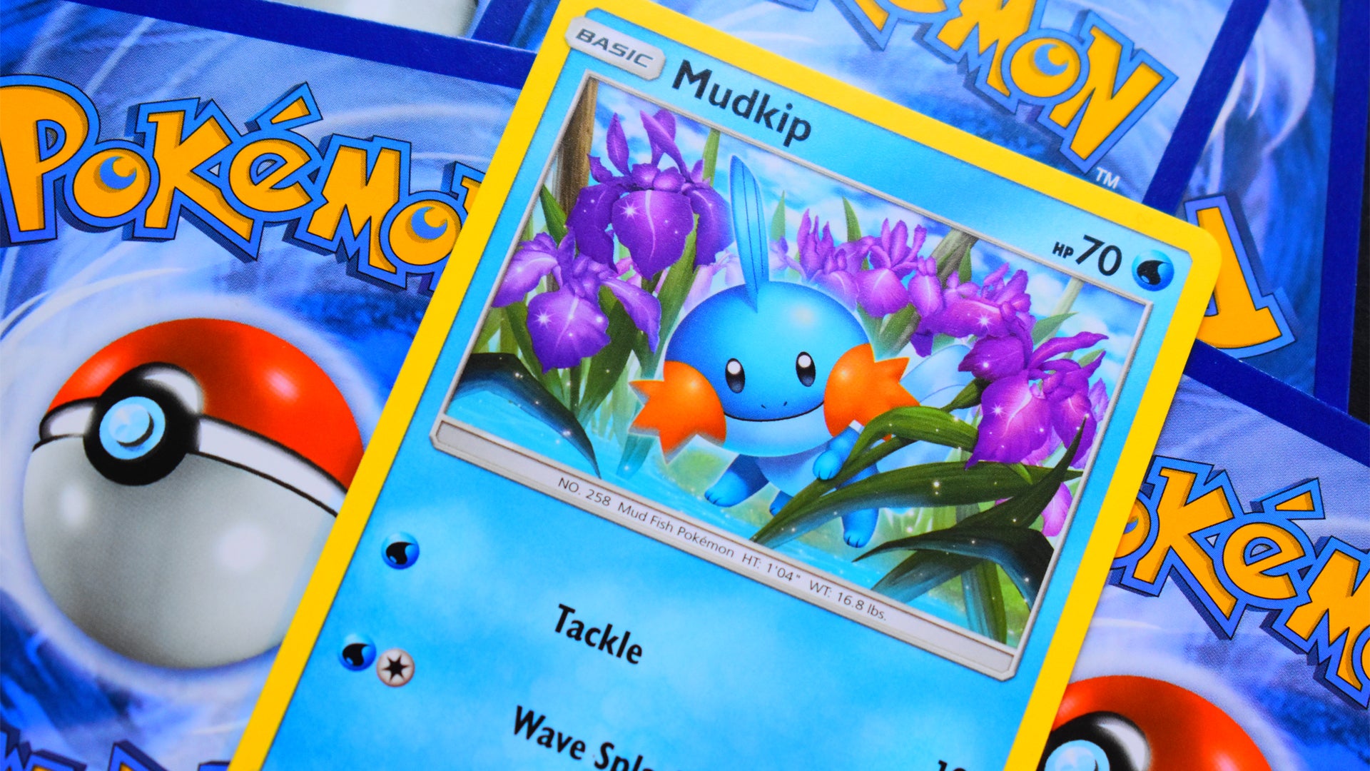 How to build a Pokémon TCG deck for beginners Dicebreaker